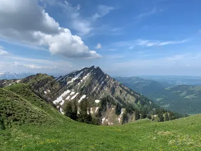 Landschaft