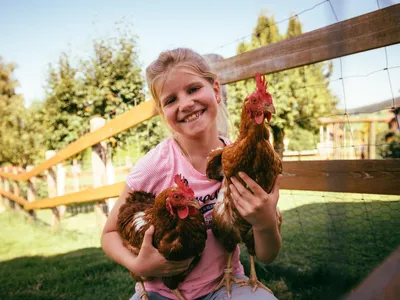 Alle Tiere sind zahm und lassen sich streicheln