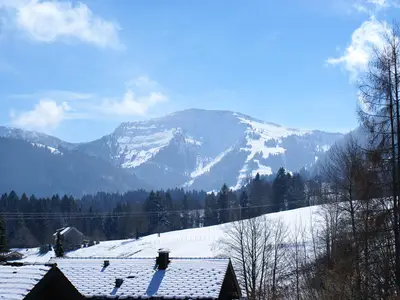 Aussicht auf den Hochgrat