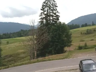Landschaft