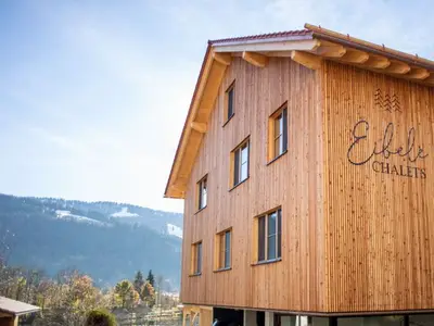 Ferienwohnung für 6 Personen (114 m²) in Oberstaufen 6/10
