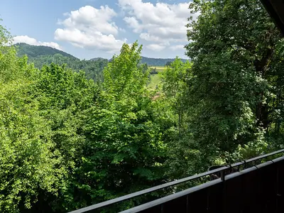 Ferienwohnung für 6 Personen (60 m²) in Oberstaufen 5/10