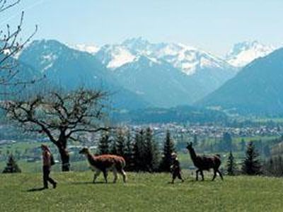 Wandern mit Lamas um Tiefenbach