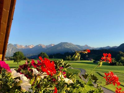 Aussicht vom Balkon