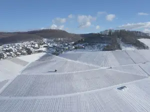 Ferienwohnung für 1 Person in Obersulm