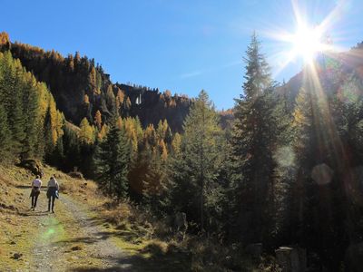 Wandern im herbstlichen Leitertal