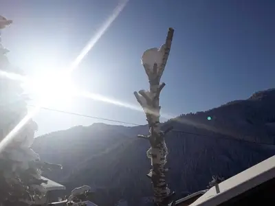 Ferienwohnung für 3 Personen (30 m²) in Obertilliach 7/10