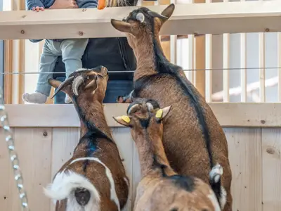 202209_Almfamilyhotel_Scherer-129