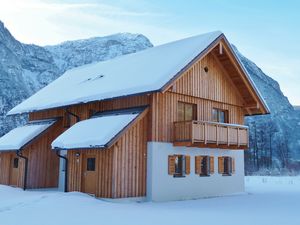 Ferienwohnung für 4 Personen (65 m²) in Obertraun