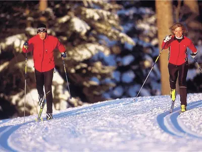 AreaWinter5KM