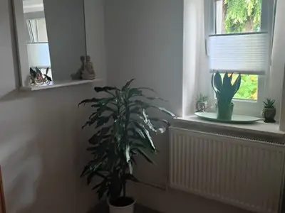 Ferienwohnung für 4 Personen (45 m²) in Oberuckersee 8/10