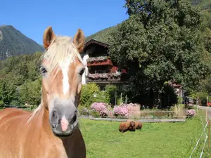 Ferienwohnung für 6 Personen (70 m²) in Obervellach