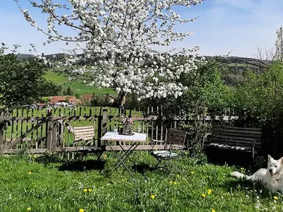 Ferienwohnung für 3 Personen (63 m²) in Oberwang 2/10