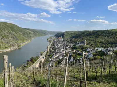 10 Fewo - Blick auf die Stadt Oberwesel