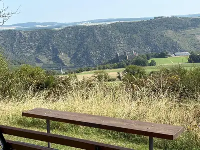 9 Fewo - Blick vom Ortsrand von Oberwesel-Dellhofe