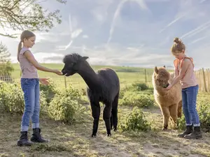 Ferienwohnung für 3 Personen (48 m²) in Oberwesel