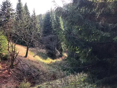 Ferienwohnung für 5 Personen (60 m²) in Oberwiesenthal 9/10