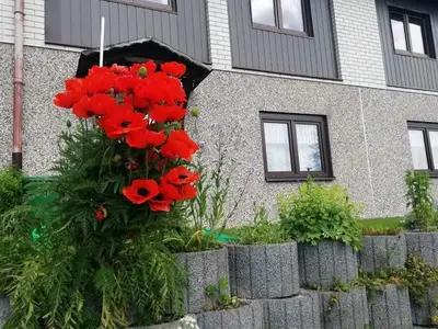 Ferienwohnung für 4 Personen (55 m²) in Oberwiesenthal 7/10