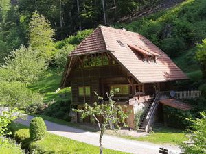 Ferienwohnung für 4 Personen (65 m²) in Oberwolfach
