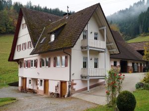Ferienwohnung für 4 Personen (45 m²) in Oberwolfach