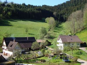 19048157-Ferienwohnung-4-Oberwolfach-300x225-1