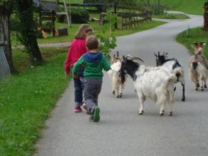 19048157-Ferienwohnung-4-Oberwolfach-300x225-3