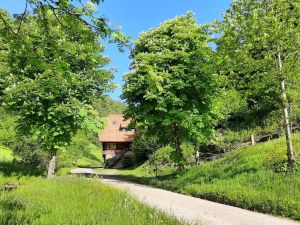 19047975-Ferienwohnung-4-Oberwolfach-300x225-1