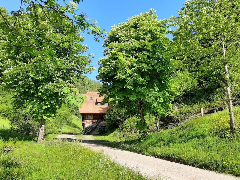 19047975-Ferienwohnung-4-Oberwolfach-800x600-1