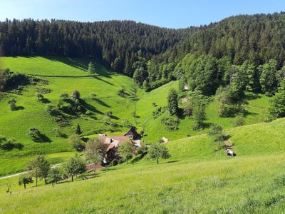 Kurzenbachtal Oberwolfach 2