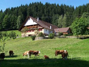 19047971-Ferienwohnung-4-Oberwolfach-300x225-1