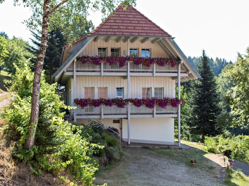 19047905-Ferienwohnung-4-Oberwolfach-800x600-1