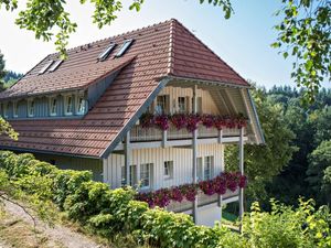 19047905-Ferienwohnung-4-Oberwolfach-300x225-3