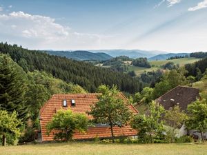 19047906-Ferienwohnung-6-Oberwolfach-300x225-5