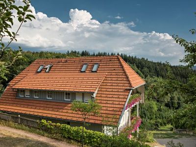 Ferienwohnung für 4 Personen (60 m²) in Oberwolfach 9/10