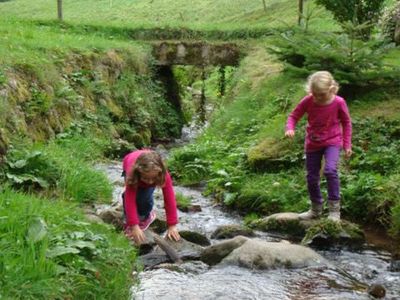 Hofbach mit Flusskrebse