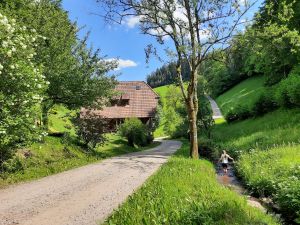 19047975-Ferienwohnung-4-Oberwolfach-300x225-3