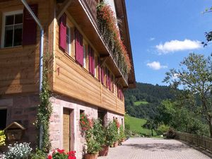Ferienwohnung für 4 Personen (60 m²) in Oberwolfach