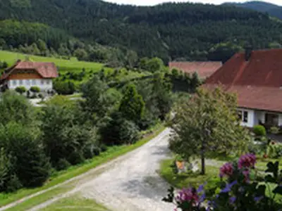 Jungbauernhof_Fewo 3_Blick2.jpg