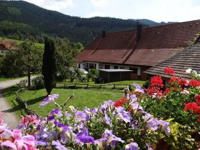 Balkonblumen