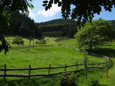 Umgebung