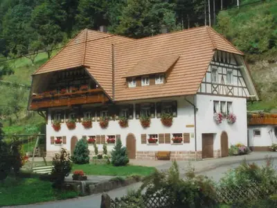 Ferienwohnung für 4 Personen (70 m²) in Oberwolfach 1/9
