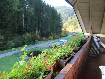 Ferienwohnung für 4 Personen (70 m²) in Oberwolfach 8/9