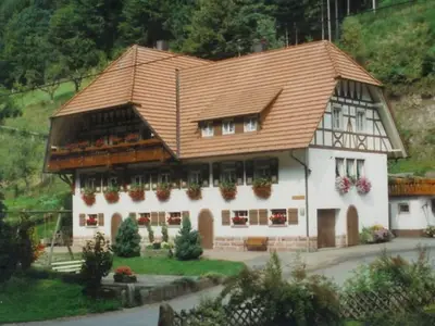 Ferienwohnung für 4 Personen (70 m²) in Oberwolfach 1/9