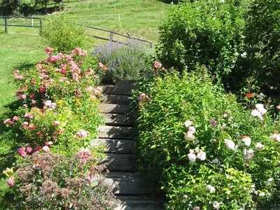 Ferienwohnung für 5 Personen (55 m²) in Oberwölz (Stadt) 3/7