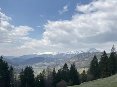 Ferienwohnung für 5 Personen (55 m²) in Oberwölz (Stadt) 5/7