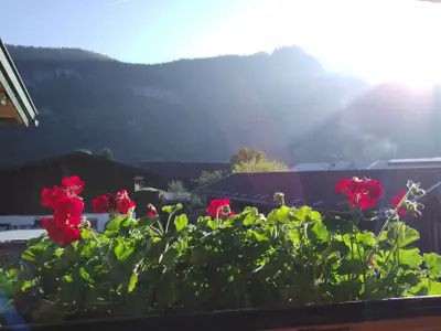 Ausblick vom Wohnzimmer