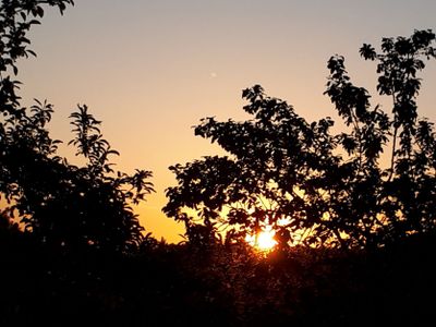 Sonnenaufgang vom Balkon aus