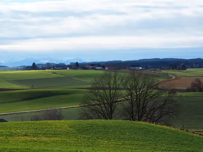 Blick auf Honau