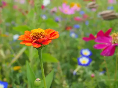 Ferienwohnung für 4 Personen (60 m²) in Obing 2/10