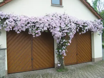 Ferienwohnung für 3 Personen (40 m²) in Ochsenfurt 2/10